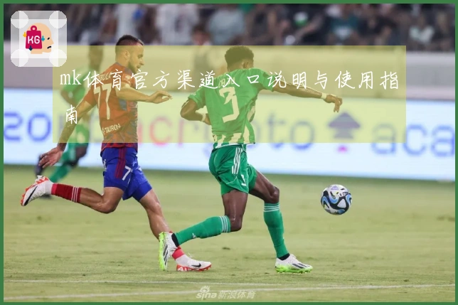 mk体育官方渠道入口说明与使用指南