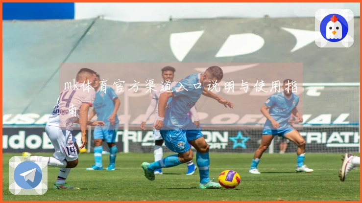 mk体育官方渠道入口说明与使用指南